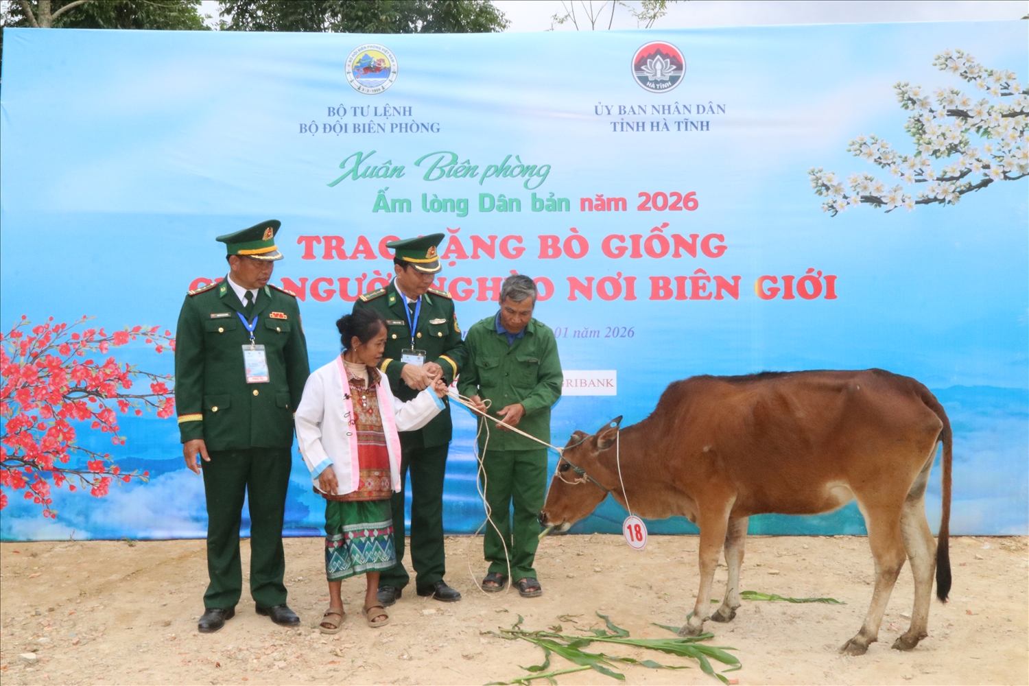 Bà con được hỗ trợ bò giống để phát triển kinh tế