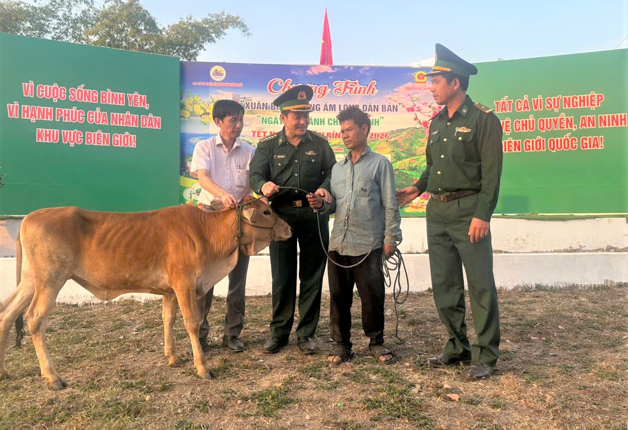 Ban Chỉ huy Bộ đội Biên phòng tỉnh Quảng Ngãi trao tặng bò giống cho hộ nghèo ở xã biên giới Sa Loong. (Ảnh: Ngọc Chí)
