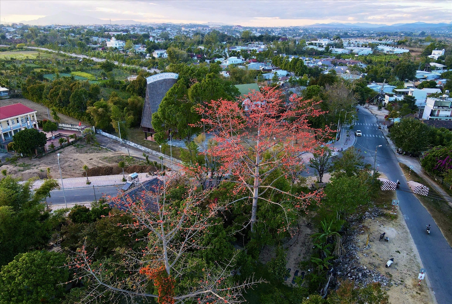 Những ngày này, khắp vùng đất Tây Nguyên, từ những bản làng xa xôi đến phố thị, chúng ta dễ dàng bắt gặp những cây Pơ lang nở hoa đỏ thắm. (Ảnh: N.C)