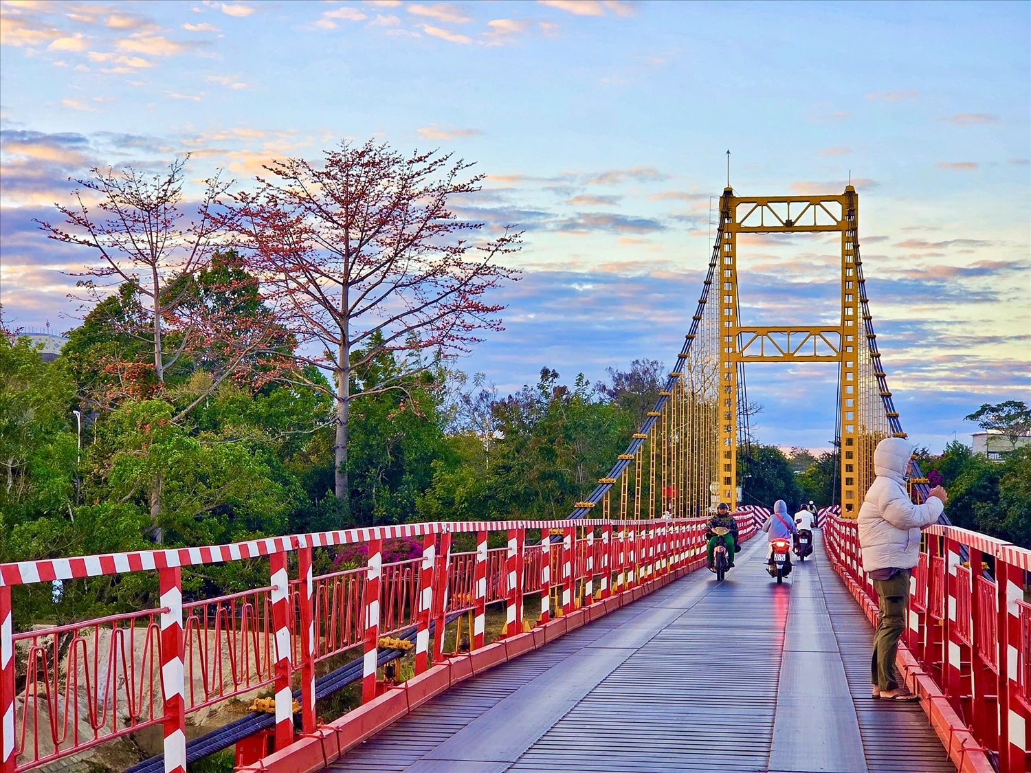 Hoa Pơ lang nở đỏ rực như tô thắm thêm cho cảnh đẹp của cây cầu treo Kon Klor bắc qua sông Đăk Bla. (Ảnh: N.C)