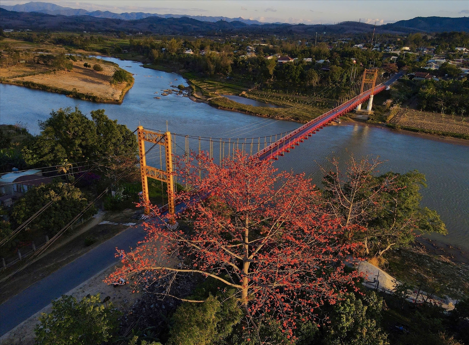Chiều buông trên dòng sông Đăk Bla, hoa Pơ lang rực đỏ bên cầu treo Kon Klor tạo nên không gian tuyệt đẹp. (Ảnh: N.C)