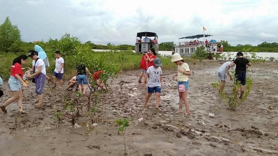 Du lịch gắn với bảo tồn rừng ngập mặn, đa dạng sinh học và trải nghiệm văn hóa, sinh kế ven biển tại Vườn quốc gia Xuân Thủy những năm gần đây thu hút đông du khách. Ảnh: VQG Xuân Thủy.