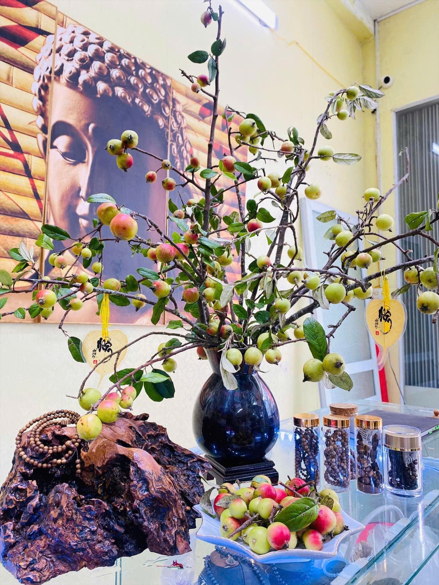 Những cành quả táo mèo được mang về cắm bình rất đẹp (ảnh st)