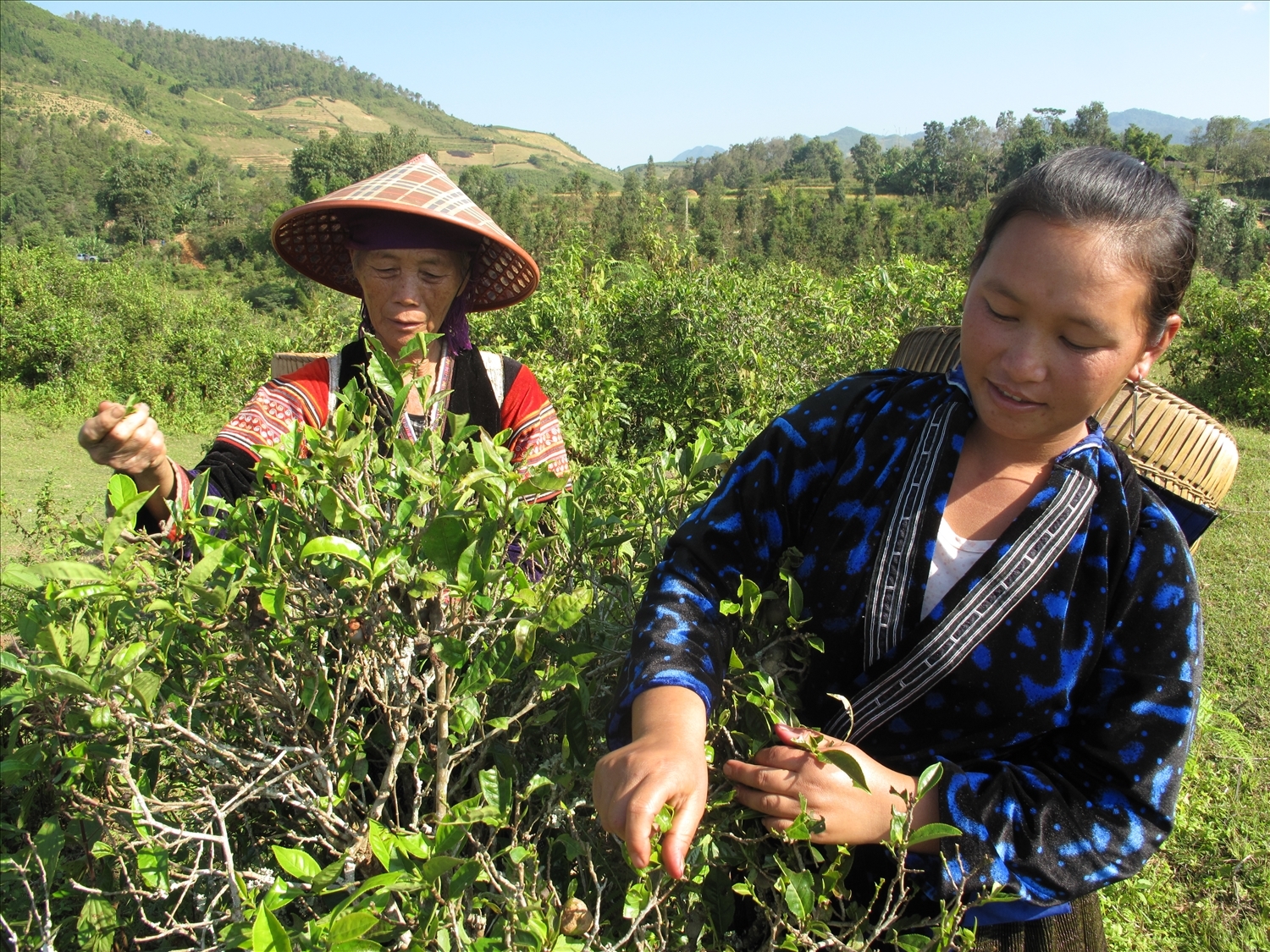 Tư duy về công tác dân tộc của các cấp ủy đảng, chính quyền địa phương đã có những đột phá, chuyển từ hỗ trợ sang kiến tạo phát triển, tạo động lực thay đổi diện mạo vùng đồng bào DTTS (Ảnh TL)