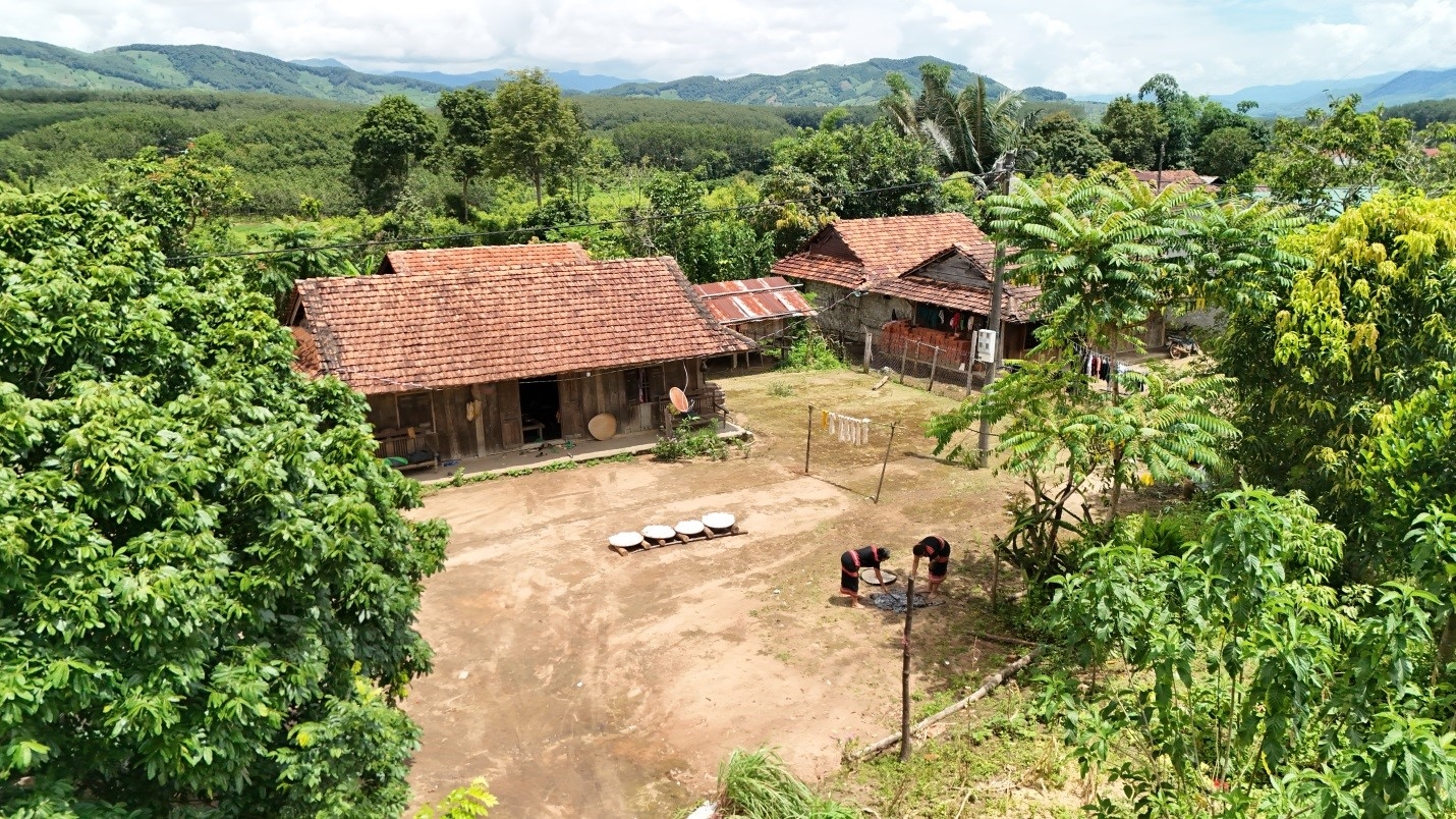 Nhà ở truyền thống của người Gié Triêng ở làng Nông Kon, xã Dục Nông, tỉnh Quảng Ngãi