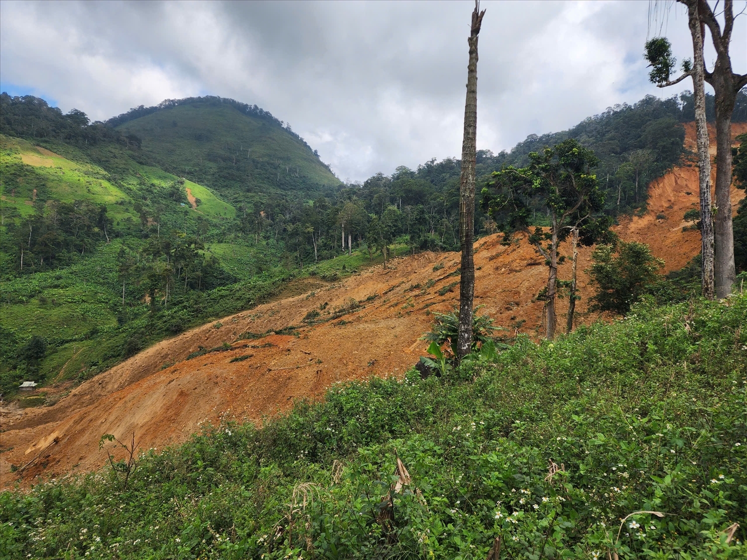 Khu vực xảy ra sạt lở khiến 3 người mất tích ở xã Hùng Sơn hồi tháng 11/2025. (HS)