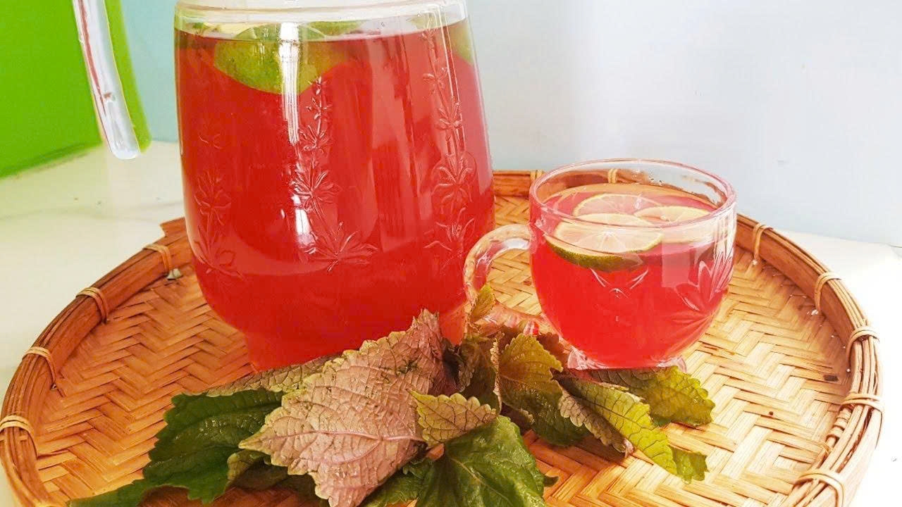 Người bị huyết áp thấp, bệnh tim hoặc đang gặp tình trạng cảm nóng nên hạn chế ống nước tía tô gừng hoặc tham khảo ý kiến bác sĩ trước khi dùng. Ảnh: ITN