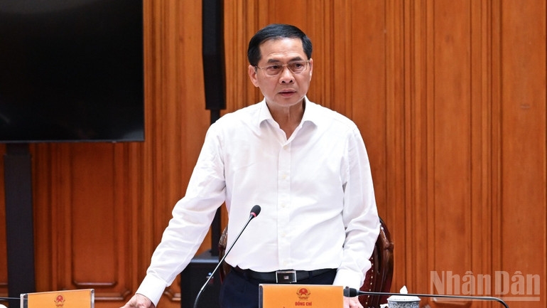 Phó Thủ tướng Bùi Thanh Sơn phát biểu ý kiến tại cuộc họp. (Ảnh: TRẦN HẢI)