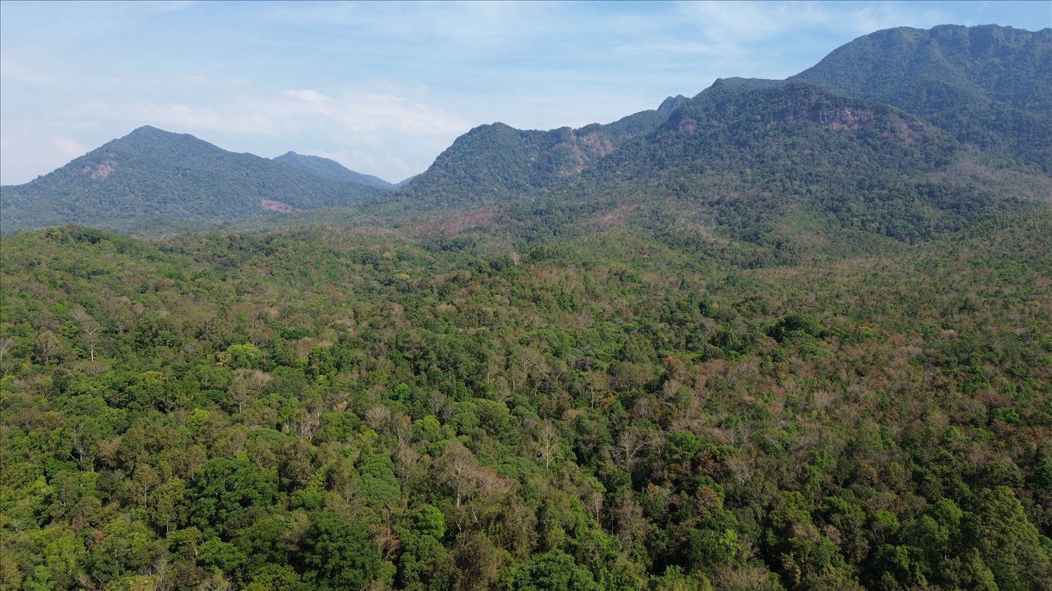 Vườn quốc gia Chư Mom Ray đã lắp đặt 280 máy ảnh tự động trong rừng để giám sát đa dạng sinh học