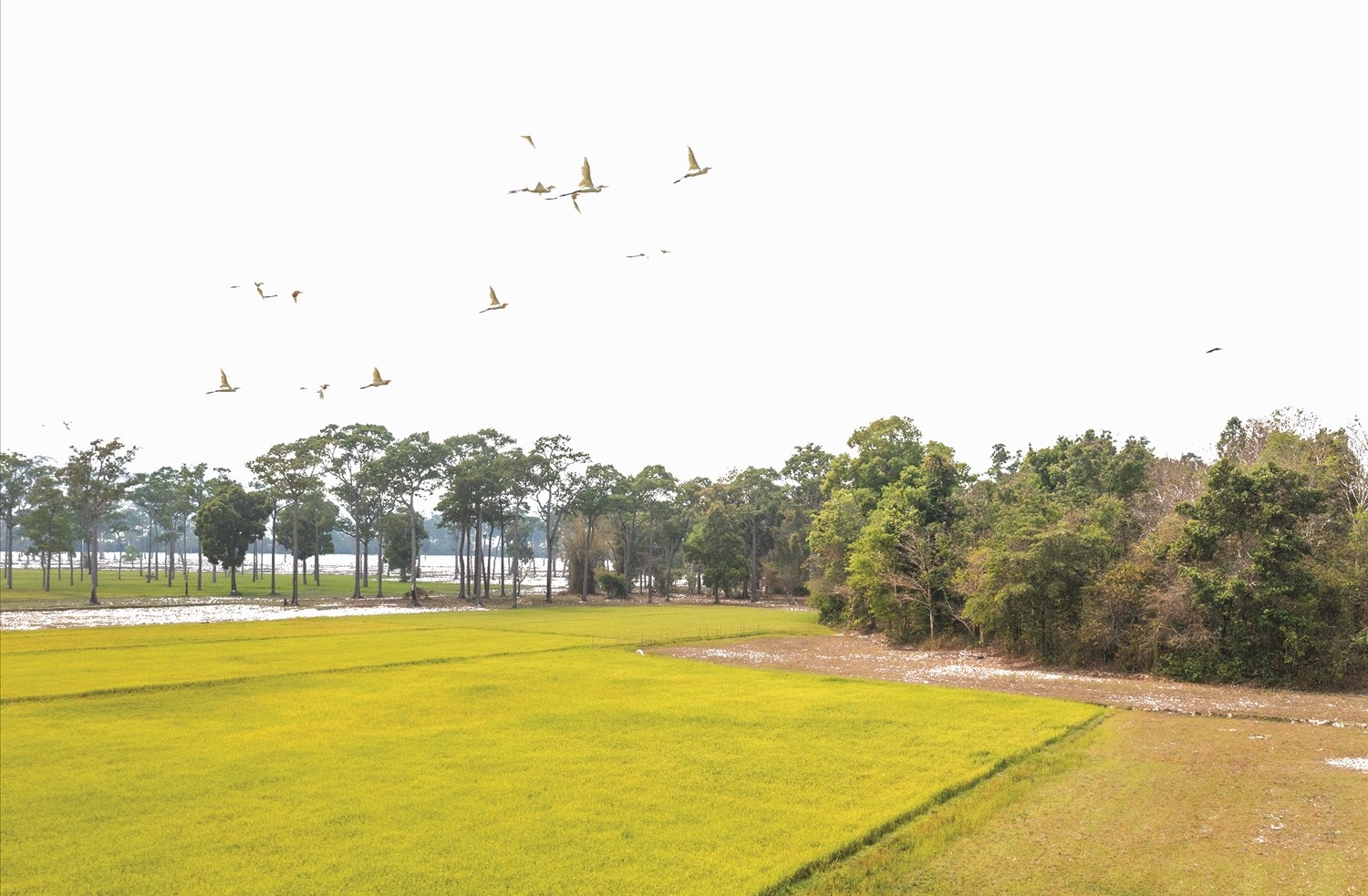 (BÁO IN) “Góp nhặt” yêu thương để xây dựng cộng đồng 1