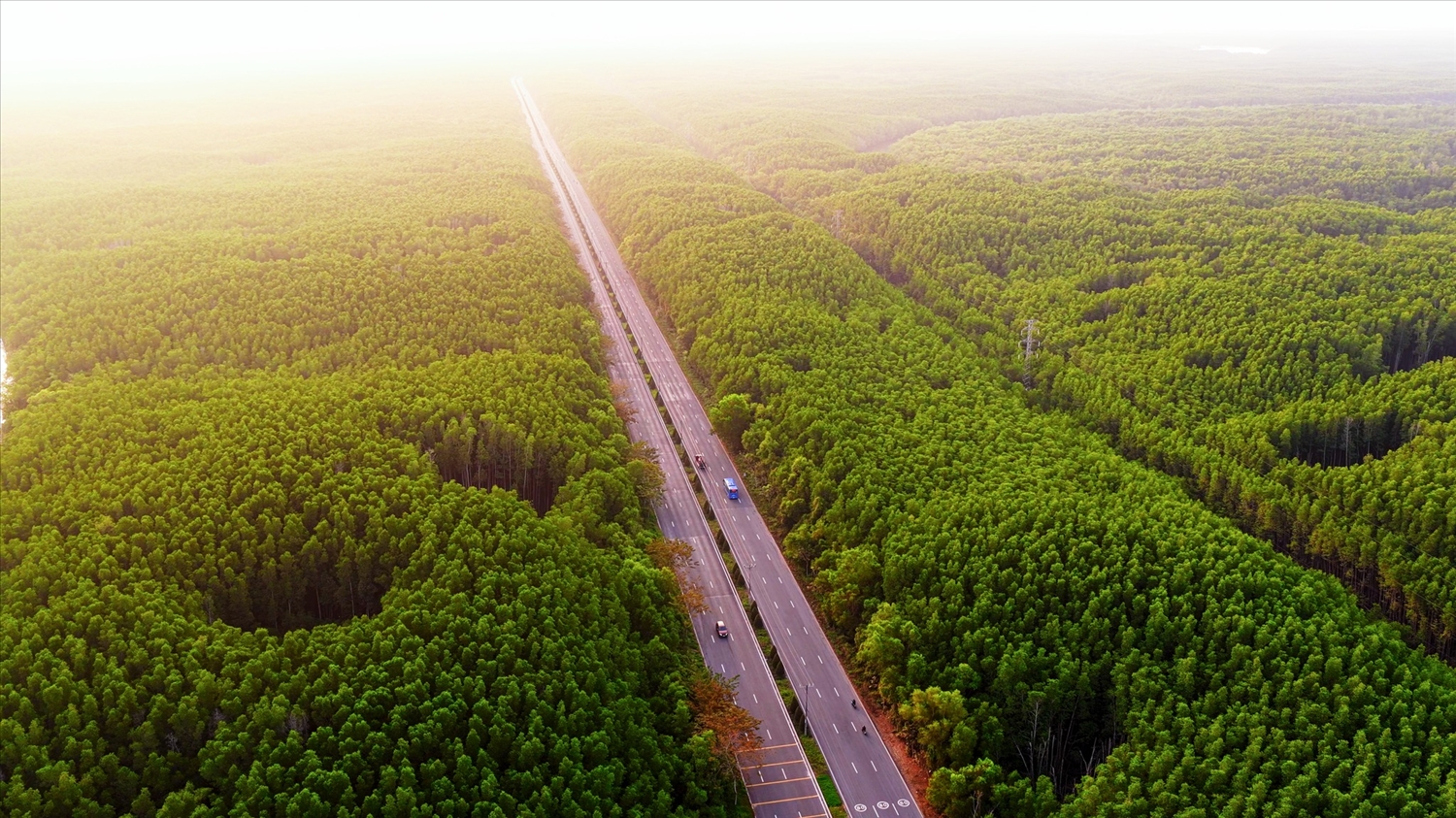 VnExpress Marathon lần đầu tổ chức tại Cần Giờ 