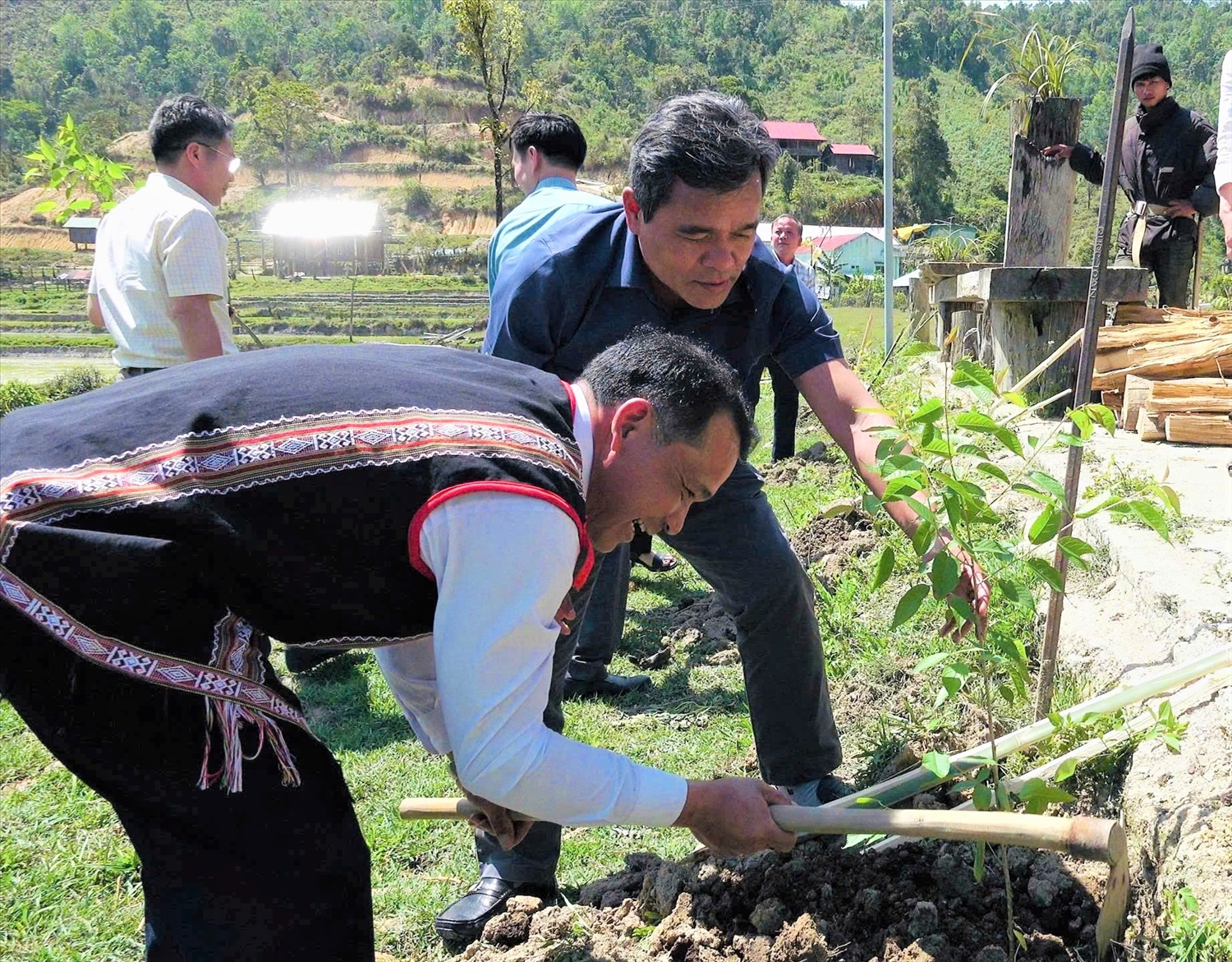 Bí thư Tỉnh ủy Quảng Ngãi Hồ Văn Niên trồng cây hoa mai anh đào tại Làng du lịch cộng đồng Vi Rơ Ngheo