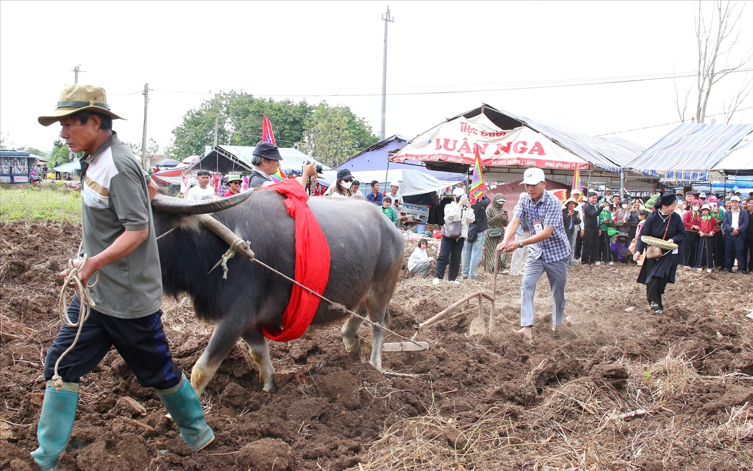 Tái hiện nghi thức xuống đồng hình ảnh cày ruộng