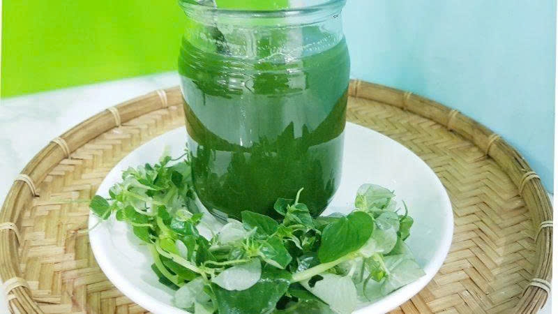 Uống nước ép rau càng cua có nhiều lợi ích cho sức khỏe, thanh mát, vị dễ uống