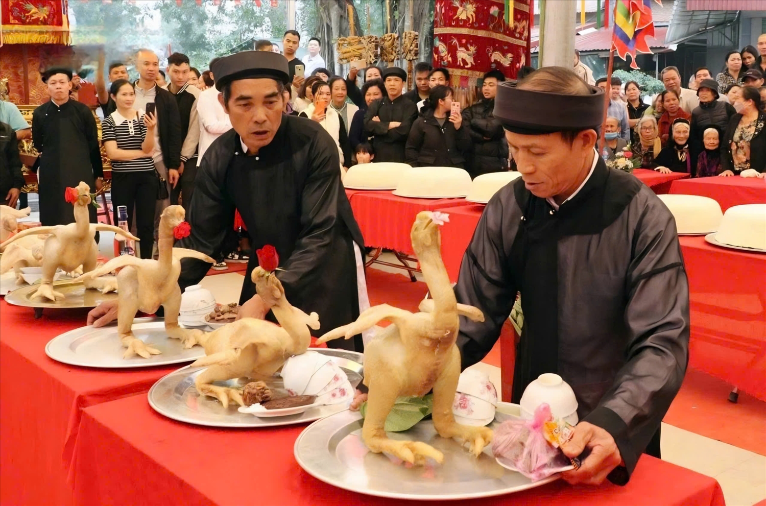 Gà cúng dâng vào đình phải được lựa chọn kỹ càng, gà trống có trọng lượng từ 4kg trở lên, mào đỏ, móng sắc nhọn. Ảnh: VOV