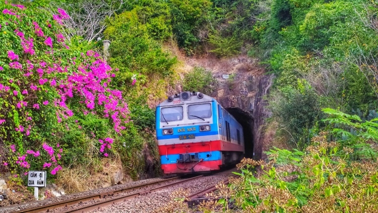 Đường sắt Việt Nam đang là sự lựa chọn cho mỗi chuyến đi
