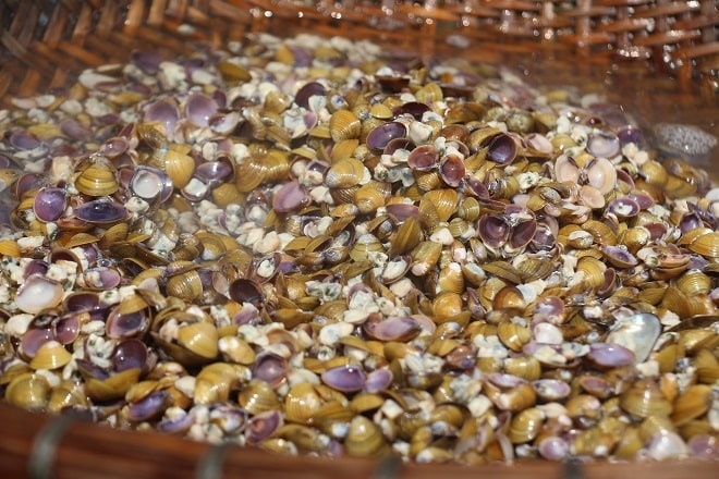 Ruột hến Sông Lam nổi tiếng thân nhỏ, ruột chắc, vỏ mỏng và có vị ngọt đậm đà đặc trưng