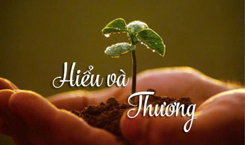 Hiểu để thương, thương để bao dung