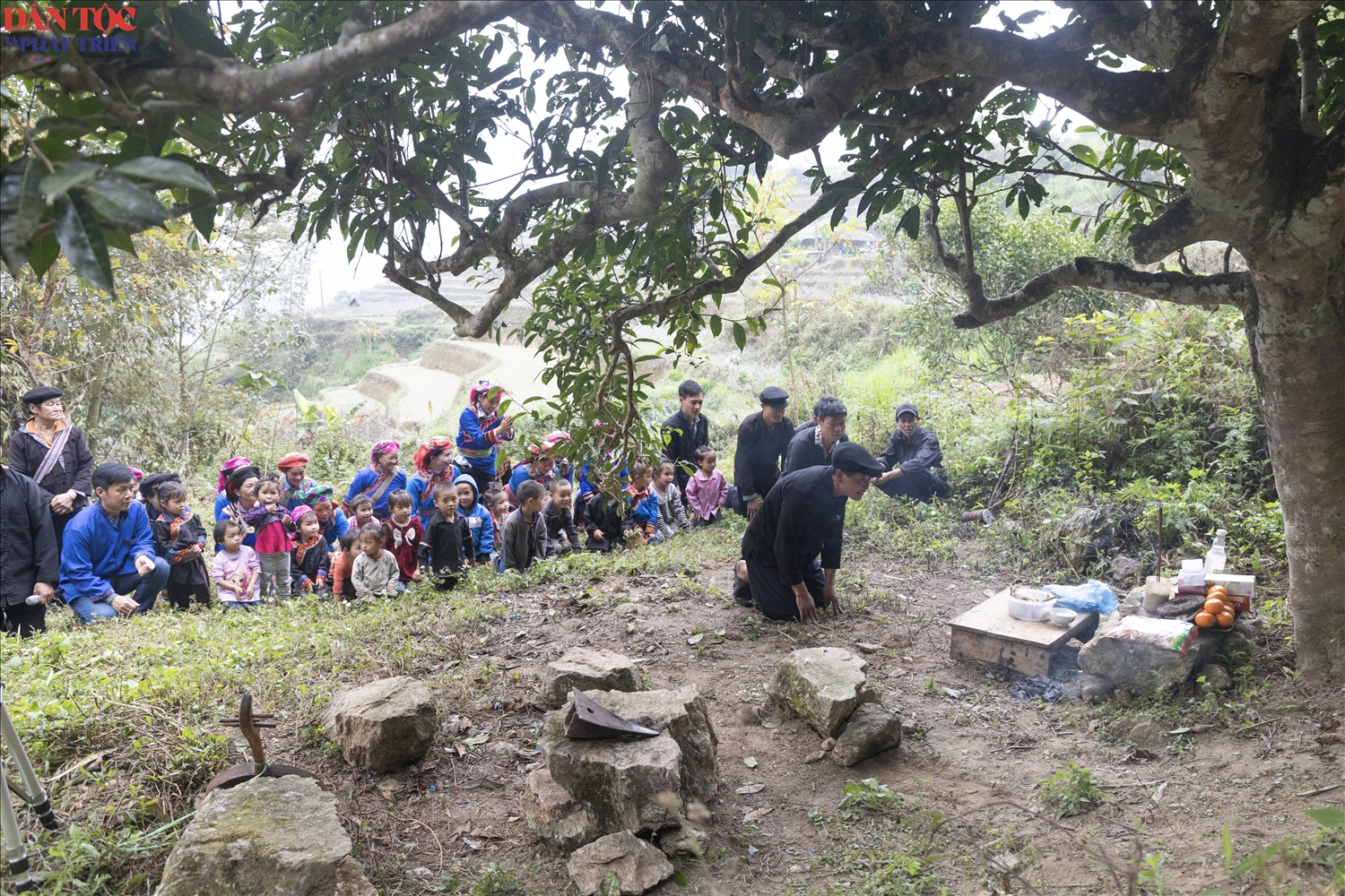 Trong không gian linh thiêng của đại ngàn xã Tân Tiến, nơi những gốc trà Shan Tuyết cổ thụ đã bám rễ qua hàng thế kỷ, Lễ tri ân và Đánh thức hồn trà được tổ chức trang trọng. Đây là nghi lễ quan trọng bậc nhất trong năm của đồng bào Cờ Lao.