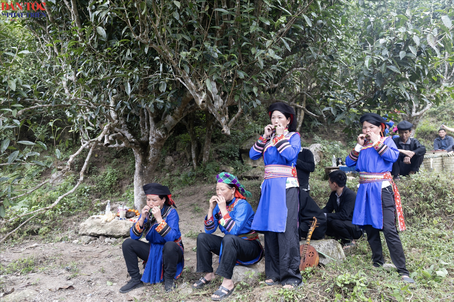 Tiết mục thổi kèn lá của đồng bào Cờ Lao được trình diễn tại lễ hội, âm thanh mộc mạc hòa cùng không gian núi rừng, góp phần làm nên sắc màu văn hóa độc đáo của ngày hội Đánh thức hồn trà.