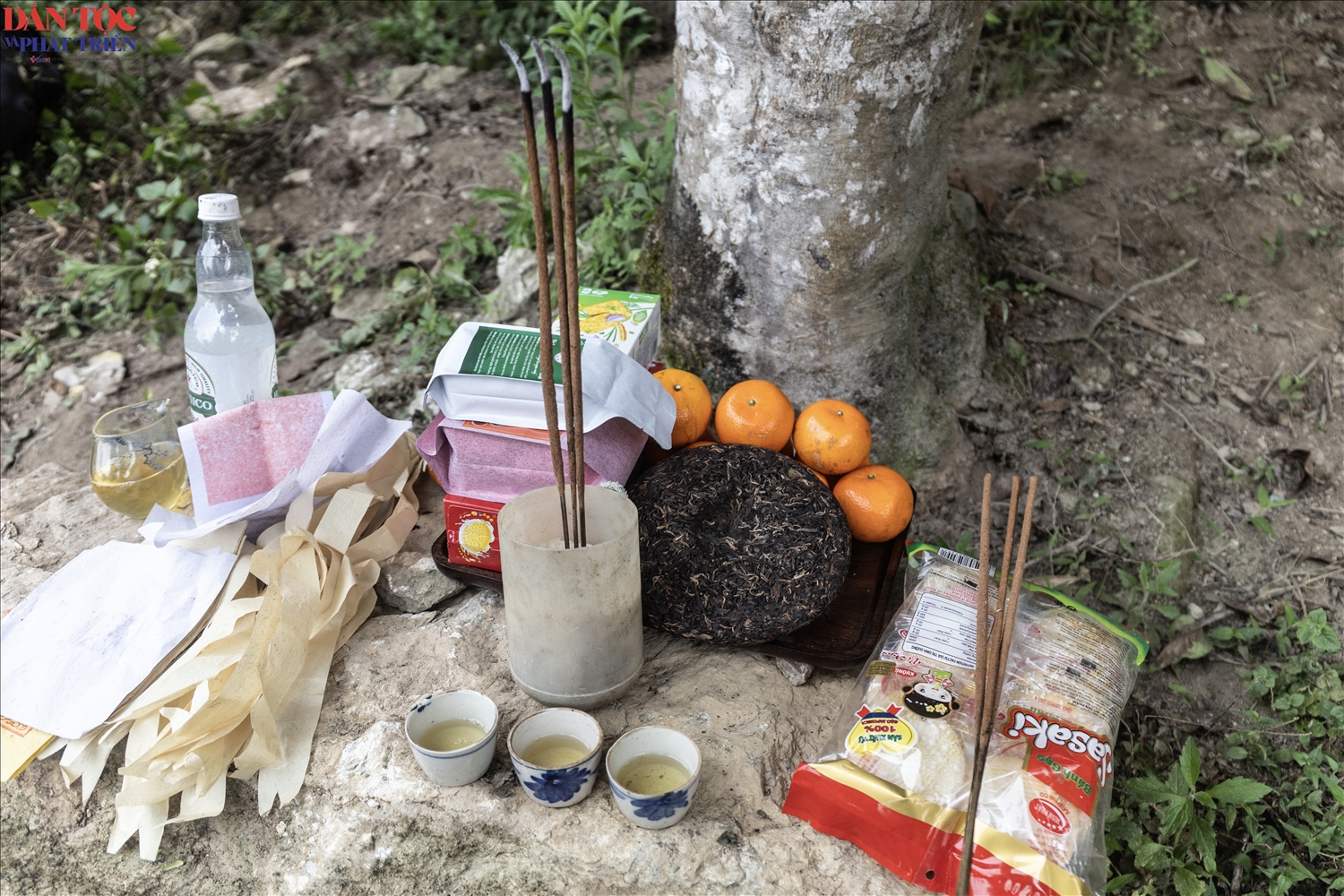 Người dân chuẩn bị lễ vật dâng cúng với tất cả sự thành kính, gửi gắm lòng biết ơn sâu sắc tới Mẹ thiên nhiên và các vị Thần rừng đã che chở cho bản làng.