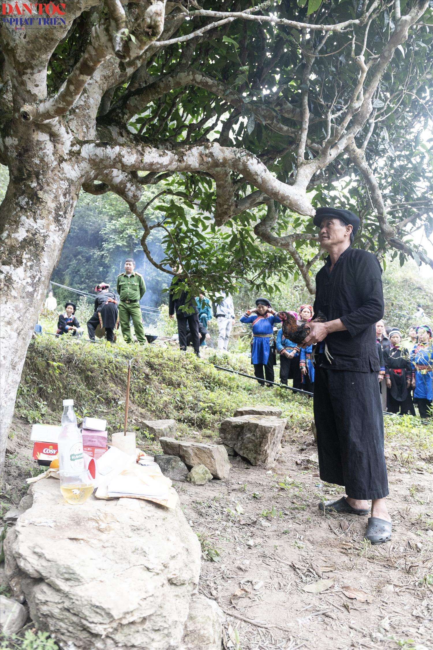 Khoảnh khắc thực hiện nghi lễ “Đánh thức hồn trà” mang ý nghĩa đánh thức sức sống tiềm tàng của cây trà sau mùa đông dài ngủ yên trong sương giá.