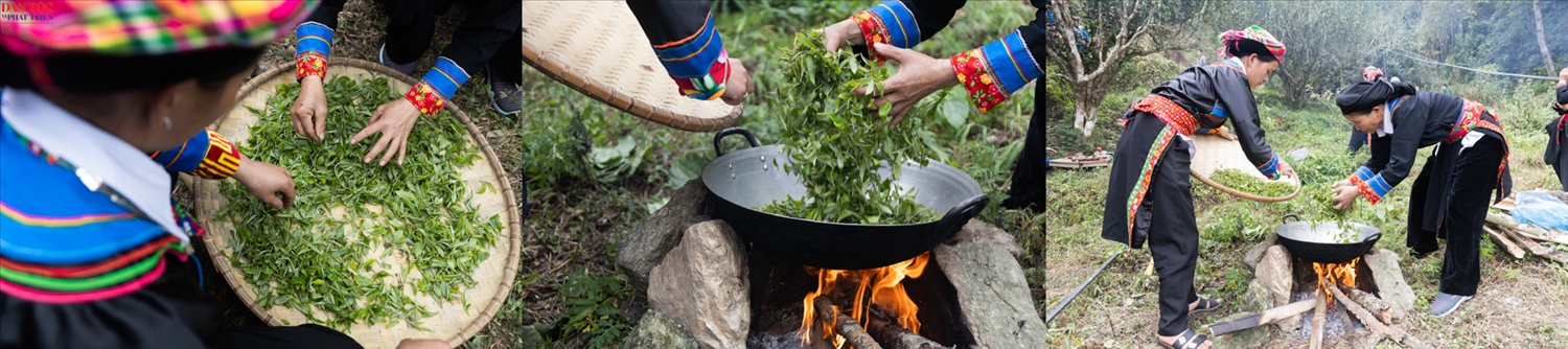Búp trà Shan Tuyết non mơn mởn, ngậm sương sớm của núi cao như những “viên ngọc xanh” kết tinh tinh hoa đất trời, được hái xuống và nhanh chóng đưa về bếp lửa để sao thủ công – công đoạn quyết định chất lượng trà. Trên chảo gang đặt giữa bếp củi rực hồng, nghệ nhân dùng đôi bàn tay trần đảo trà, cảm nhận độ nóng và độ mềm bằng kinh nghiệm lâu năm; từng nhịp đảo đều đặn giúp giữ trọn hương thơm tự nhiên, làm dậy lên vị thanh khiết đặc trưng của trà rừng.