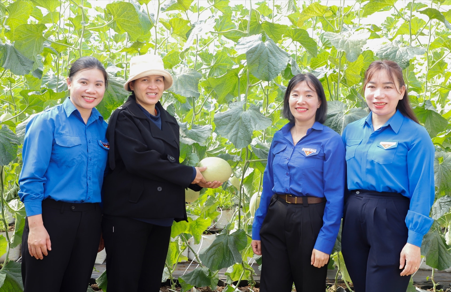 Mô hình trồng dưa lưới của chị Phạm Thị Na (người đội mũ) trở thành điểm tham quan, học hỏi của đoàn viên thanh niên địa phương (Ảnh MH)