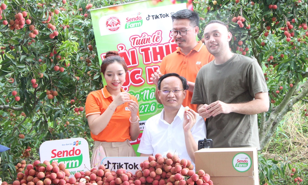 Đồng chí Phạm Văn Thịnh (áo trắng) cùng các nhà sáng tạo nội dung livestream bán vải thiều