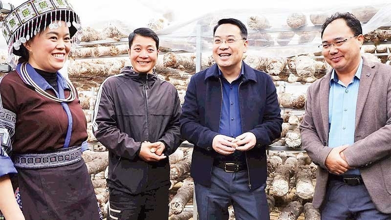 Đề án Phát triển đội ngũ cán bộ, công chức, viên chức người dân tộc thiểu số trong cơ quan nhà nước, đơn vị sự nghiệp công lập giai đoạn 2026 - 2030, định hướng đến năm 2035 yêu cầu bảo đảm cơ cấu cán bộ nữ người DTTS tối thiểu là 20% trong tổng số tỷ lệ tối thiểu cán bộ người DTTS.