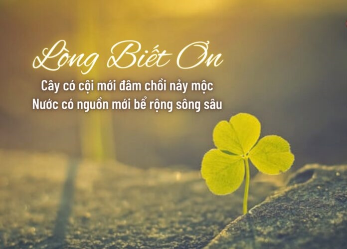 (đã BT) Biết ơn: con đường tìm về bình an 1