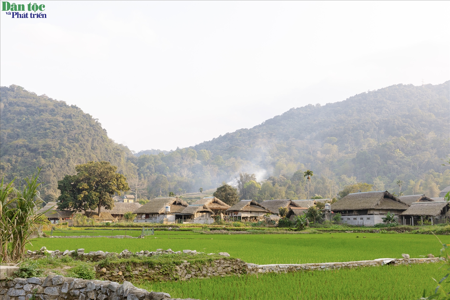 Hiện thôn có 22 hộ làm du lịch cộng đồng, mỗi ngày có thể đón 150–200 lượt khách đến ăn, nghỉ và trải nghiệm. Khi lưu trú tại thôn, du khách được sống như người Tày bản địa: ngủ nhà sàn, thức dậy giữa tiếng gà gáy và mùi khói bếp, tự tay chế biến món ăn truyền thống, thử dệt thổ cẩm, nhuộm chàm, giã bánh dày, học hát then, đi bộ qua ruộng bậc thang và tắm suối vào những ngày nắng.