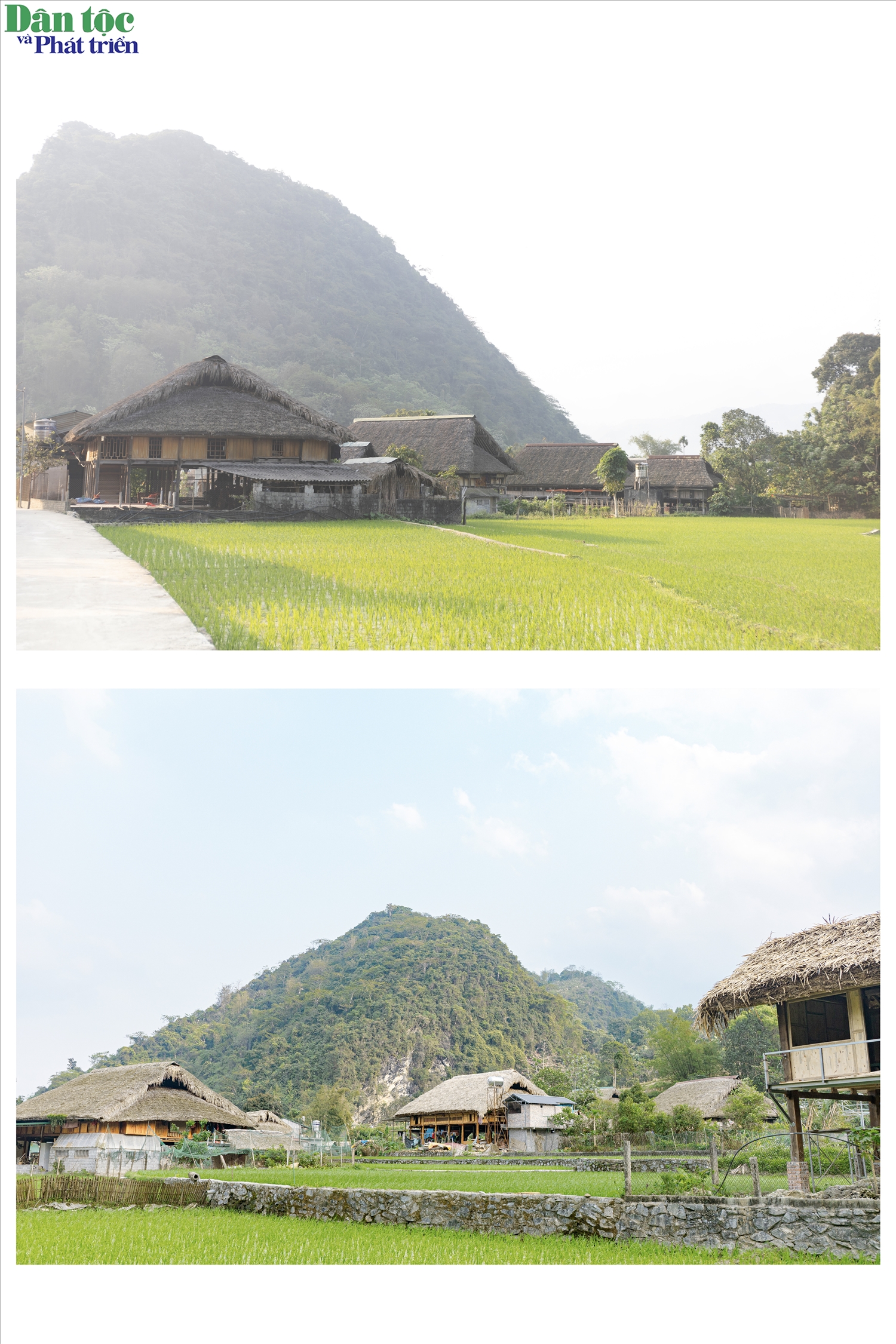 Mái lá cọ đã đen bóng theo năm tháng, thấm đẫm dấu vết của mưa nắng và thời gian. Bộ khung gỗ lim vững chãi qua nhiều thế hệ nâng đỡ cả ngôi nhà, tạo nên dáng vẻ mộc mạc nhưng đầy tinh tế.