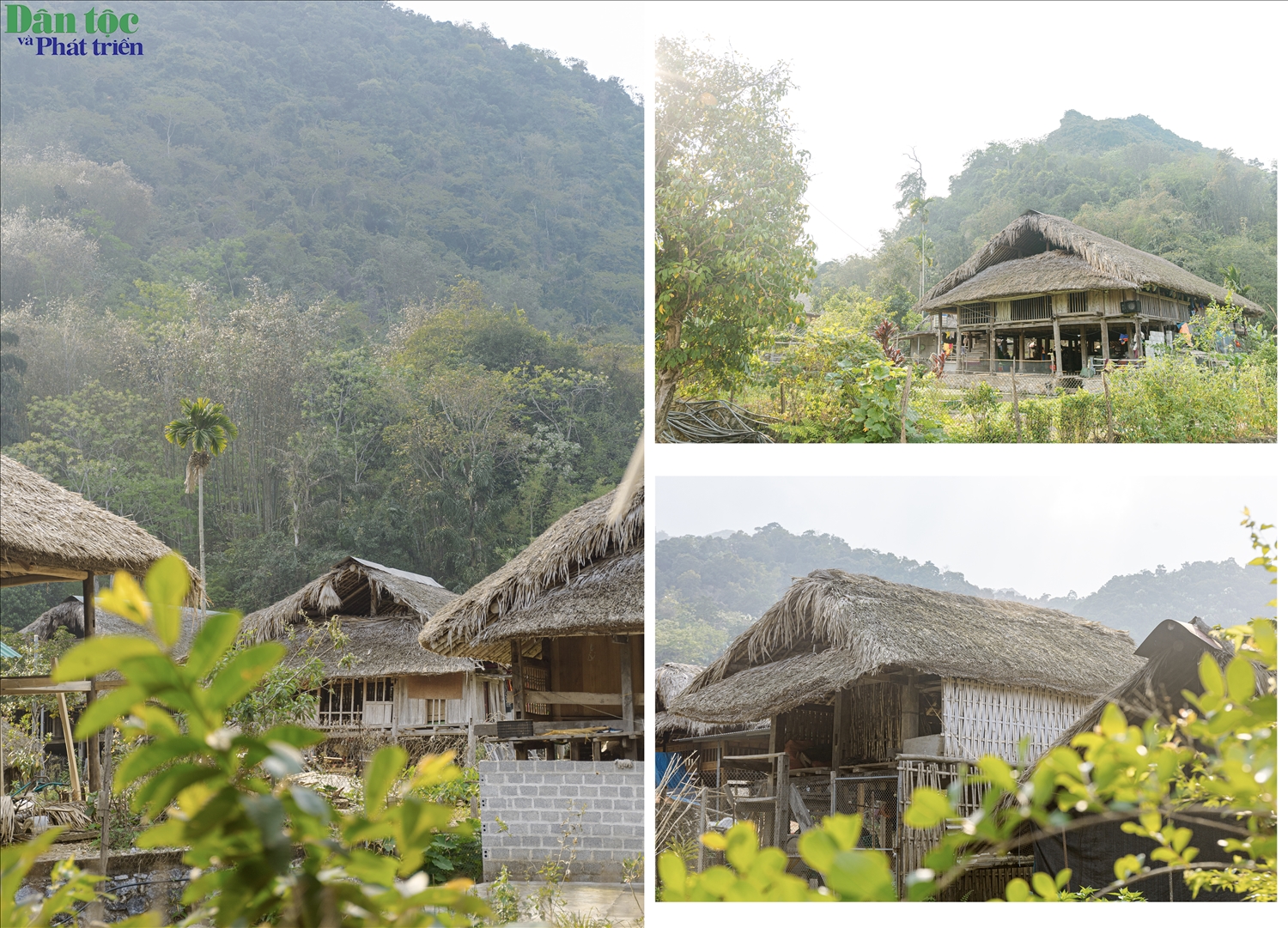 Trong sự giản dị ấy vẫn toát lên kỹ nghệ dựng nhà khéo léo của người Tày, từ cách chọn gỗ, đẽo cột, liên kết vì kèo cho đến từng chi tiết nhỏ trên sàn, mái, hiên…