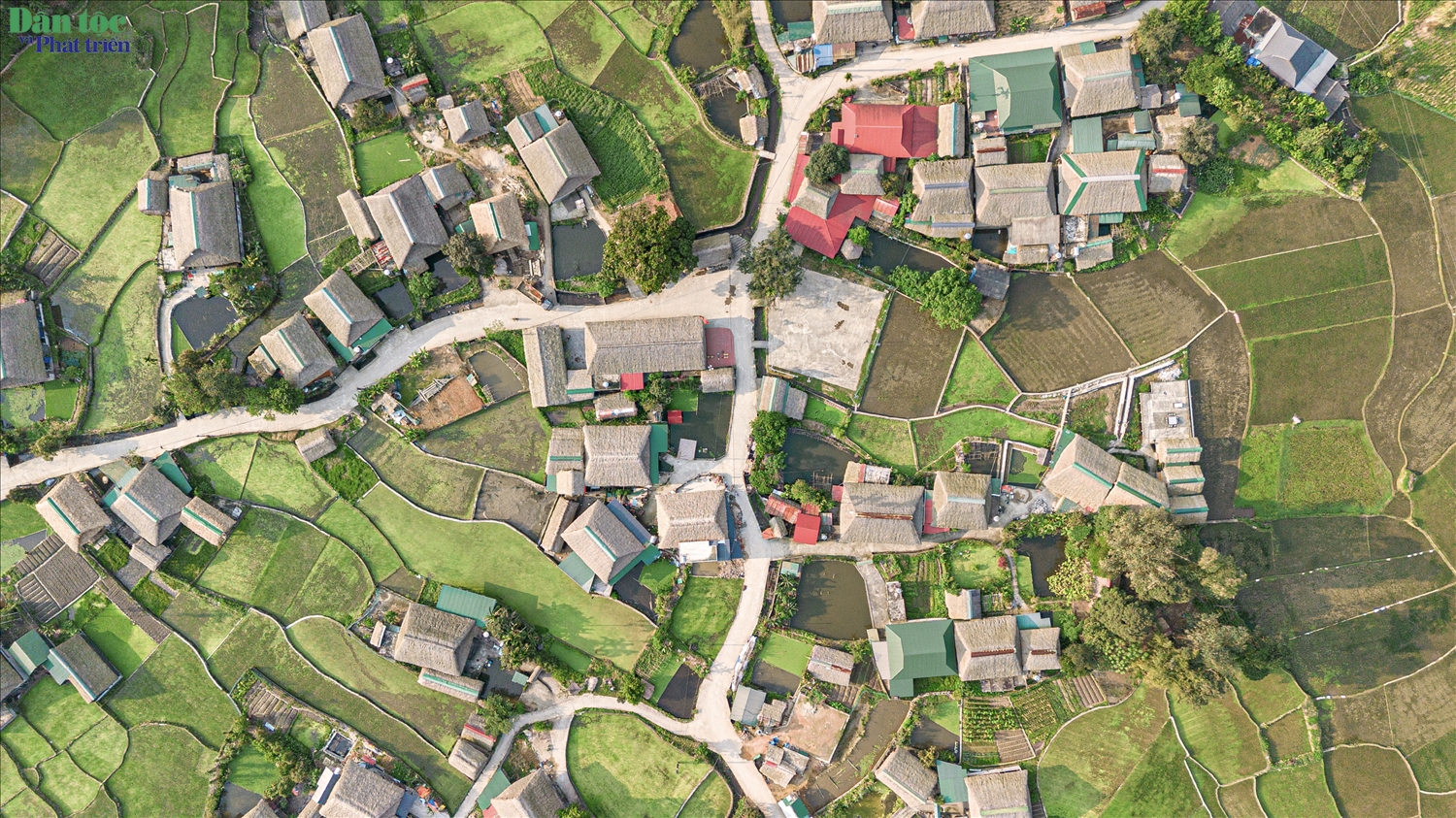 Không sở hữu những thửa ruộng bậc thang kỳ vĩ, cao sừng sững giữa đất trời, nhưng Thôn Tha lại mang đến một cảm giác bình yên rất riêng với những ruộng bậc thang thấp mềm, uốn quanh và bao bọc lấy các ngôi nhà sàn. Màu xanh của lúa, của nương đồng hòa cùng sắc gỗ nâu của nhà sàn tạo nên một khung cảnh giản dị mà cuốn hút, khiến ai đặt chân đến cũng thấy lòng dịu lại.