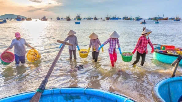 Bình minh Nhơn Lý ( ảnh st)