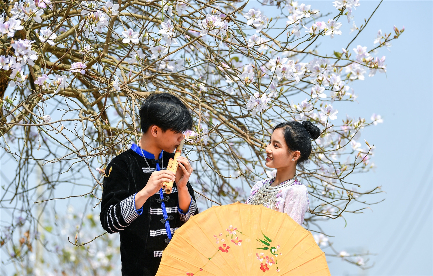 Chàng trai, cô gái người Mông đắm say bên sắc hoa Ban ( ảnh ST)