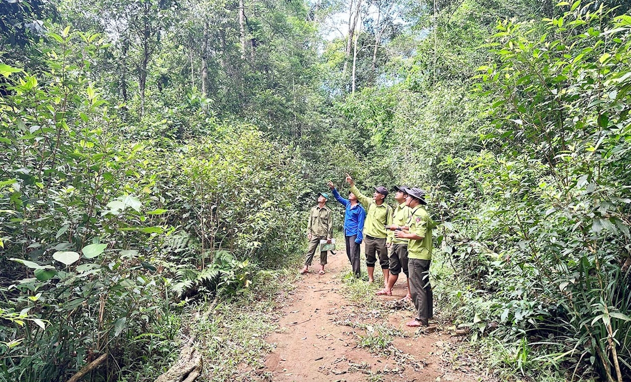 Việc giao khoán sẽ nâng cao trách nhiệm của người dân trong việc quản lý, bảo vệ rừng. (Ảnh: D.Đ)