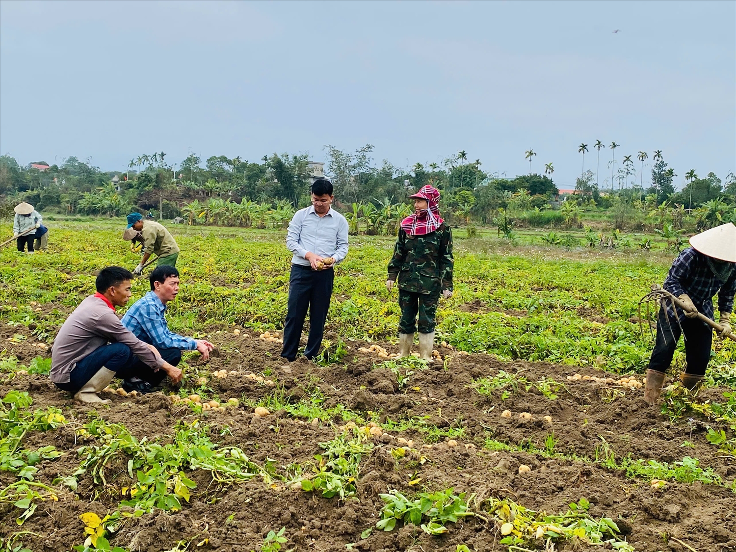 Lãnh đạo xã Quảng Đức kiểm tra tình hình sản xuất trên địa bàn