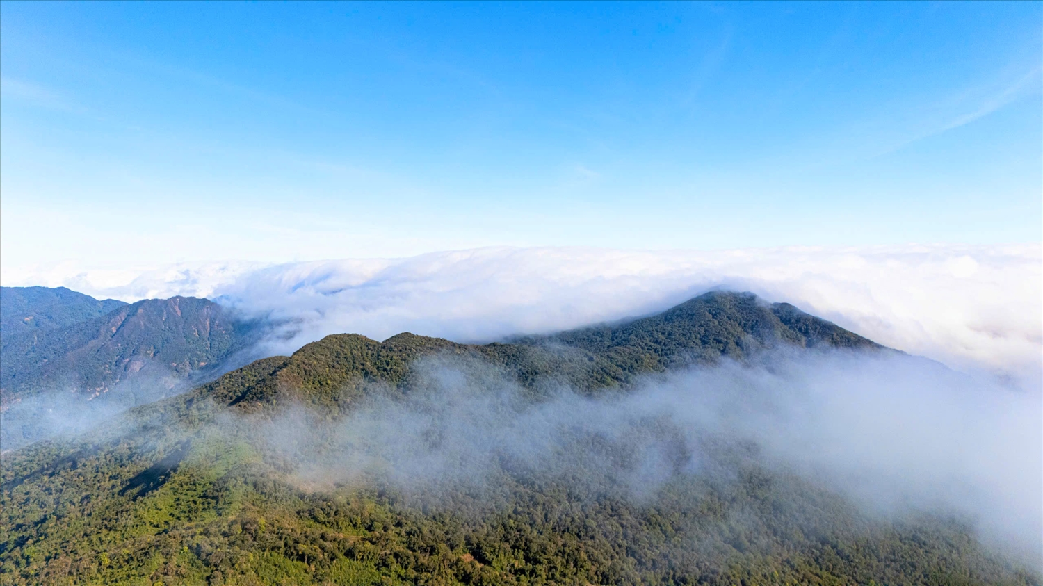 Đứng trên đỉnh núi Ngọk Pâng du khách sẽ thấy những lớp núi rừng trùng điệp nối tiếp nhau, ẩn hiện trong làn mây trắng bồng bềnh