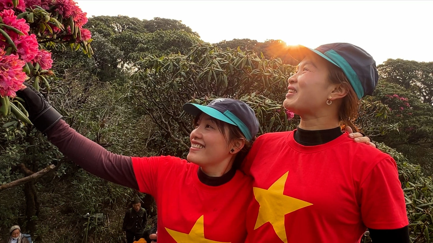 Lạc giữa rừng hoa đỗ quyên (Ảnh Trọng Bảo)