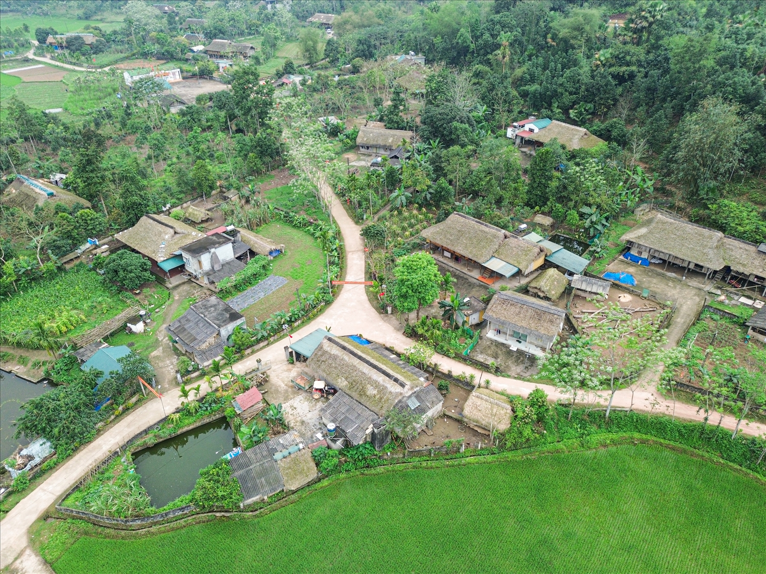 Khung cảnh bình yên của thôn Hạ Thành, xã Bằng Lang – nơi Hội nàng dâu tự quản họ Nguyễn Bảo Quang gắn bó, xây dựng cuộc sống ấm no, hạnh phúc