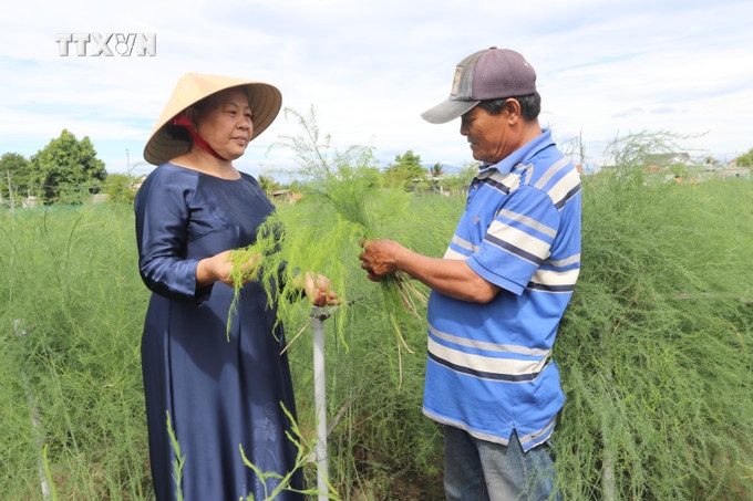 Bà Kiều Thị Khuê (bìa trái) là một trong những Người có uy tín tiêu biểu trong đồng bào DTTS tỉnh Khánh Hòa (Ảnh TTXVN)