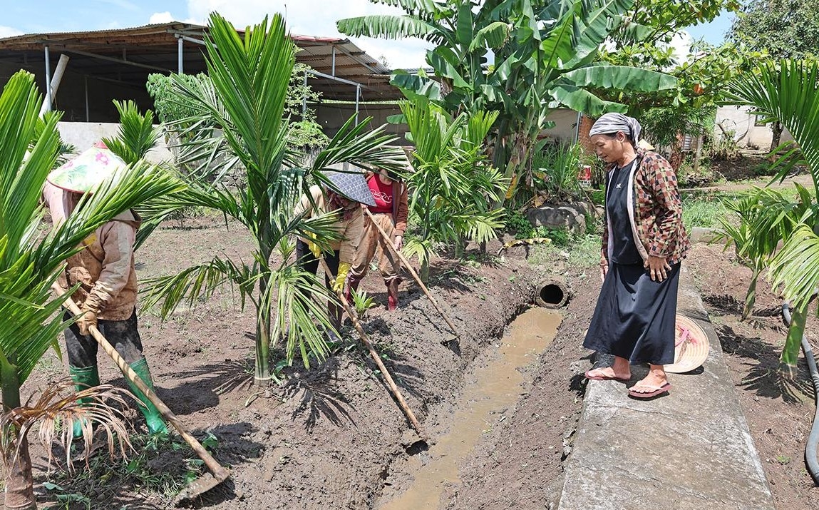 Là người sản xuất giỏi, già làng Amí Bơng (bìa phải), Người có uy tín buôn Kram, xã Ea Ktur, tỉnh Đắk Lắk luôn quan tâm, chia sẻ kinh nghiệm phát triển kinh tế cho bà con trong buôn (Ảnh MH).