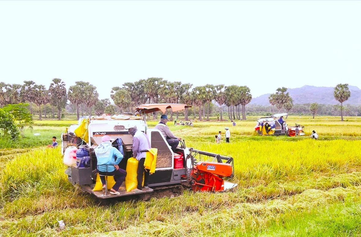 Xã Ô Lâm đưa máy móc vào phục vụ sản xuất, góp phần tăng thu nhập, giảm nghèo bền vững
