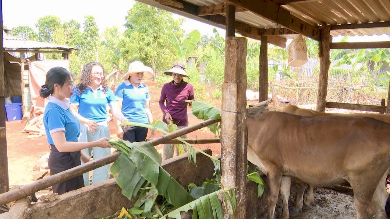 Chị Suem, làng Chăm A Nér vui mừng vì từ đàn bò sinh sản đã xây dựng được ngôi nhà kiên cố, sạch đẹp