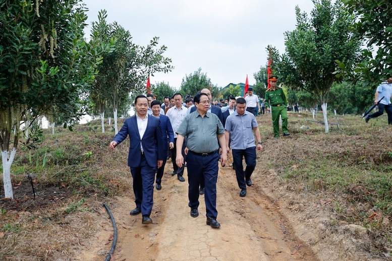 Thủ tướng Chính phủ Phạm Minh Chính thăm mô hình trồng cây mắc ca công nghệ cao tại bản Huổi Tao B, xã Pu Nhi, tỉnh Điện Biên - Ảnh: VGP/Nhật Bắc