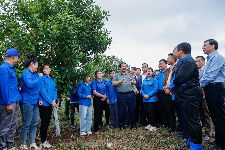 Thủ tướng Chính phủ yêu cầu địa phương làm tốt việc quy hoạch; không trồng nhỏ lẻ mà phải liên kết, tìm thị trường - Ảnh: VGP/Nhật Bắc