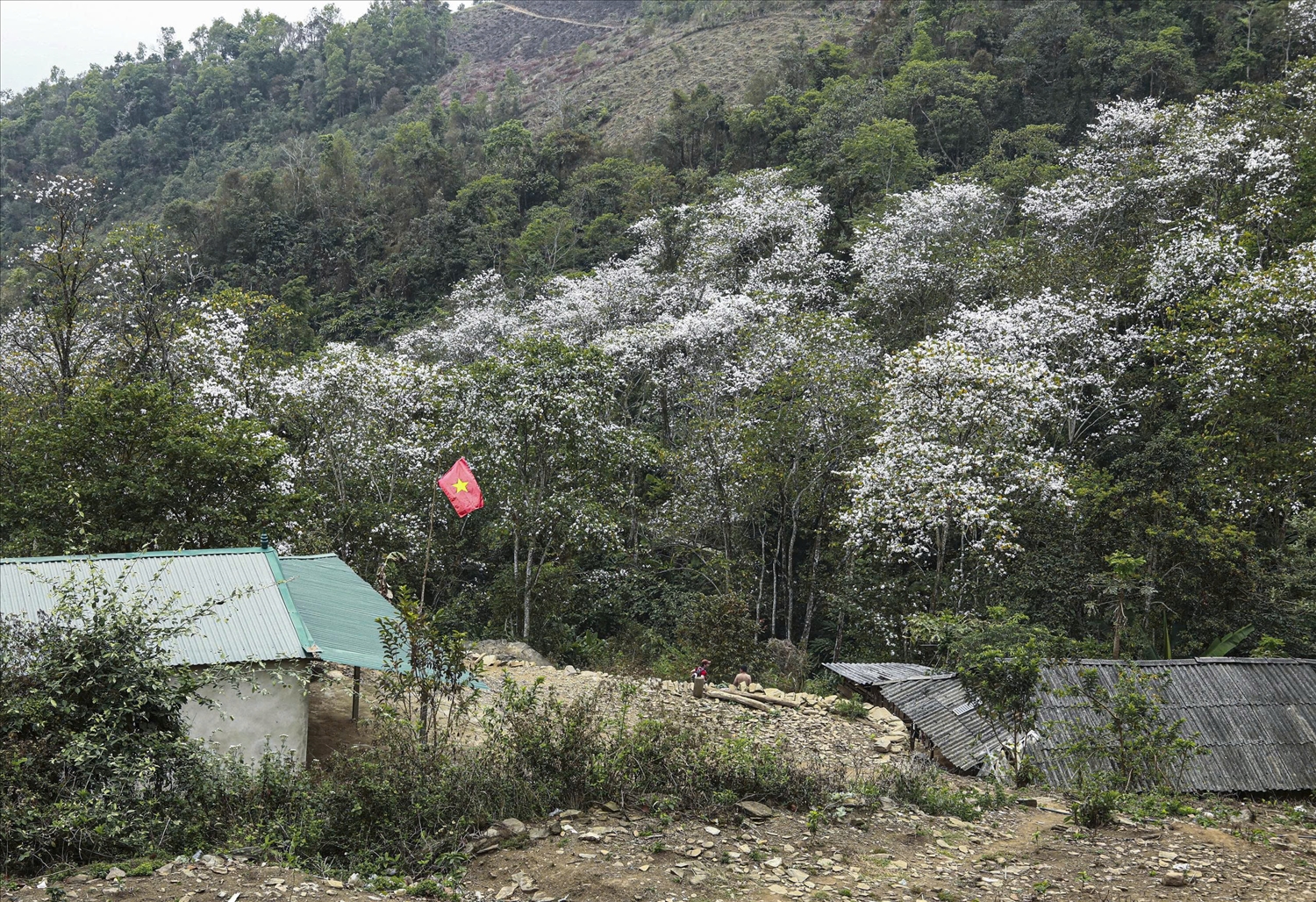 Du khách lạc vào miền cổ tích hoang sơ ở Nặm Cứm