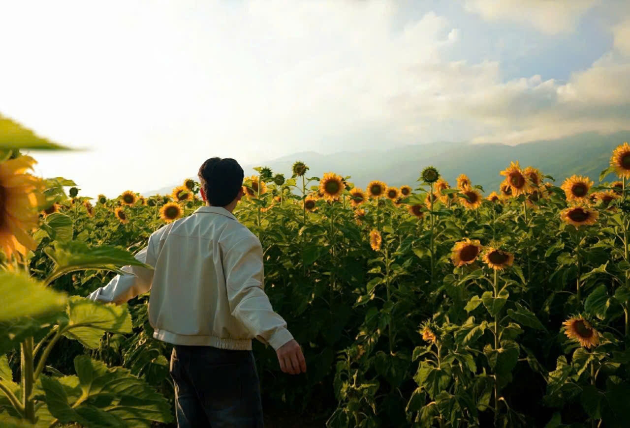 Ông Lê Phan Minh, Chủ tịch UBND xã Vu Gia cho biết, mô hình được thí điểm nhằm tận dụng quỹ đất hiệu quả, tăng giá trị sản xuất nông nghiệp, từng bước hình thành sản phẩm du lịch nông thôn. (Ảnh Đức Dương)